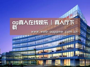 案例展示五