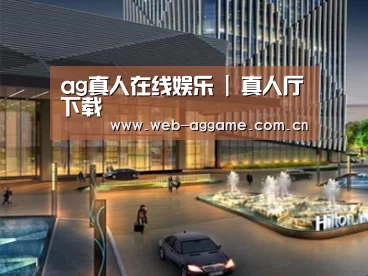 案例展示二