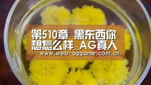 AG真人