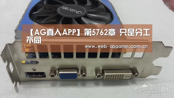 【AG真人APP】第5762章 只是分工不同(图1) AG真人