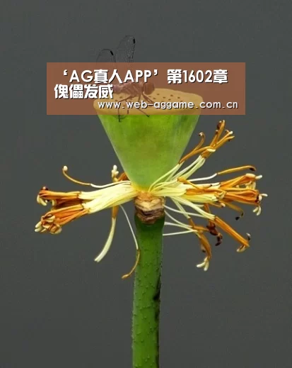 ‘AG真人APP’第1602章 傀儡发威(图1) AG真人平台