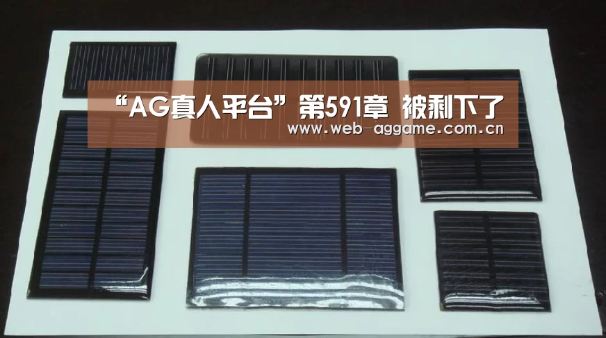 “AG真人平台”第591章 被剩下了(图2) AG真人APP