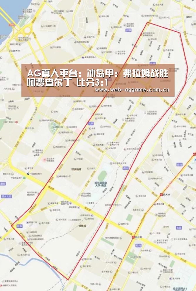 AG真人平台:冰岛甲: 弗拉姆战胜阿费查尔丁 比分3:1(图4) AG真人官网