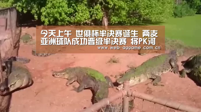 今天上午 世俱杯半决赛诞生 两支亚洲球队成功晋级半决赛 将PK河床皇马_AG真人官网(图2) AG真人官网