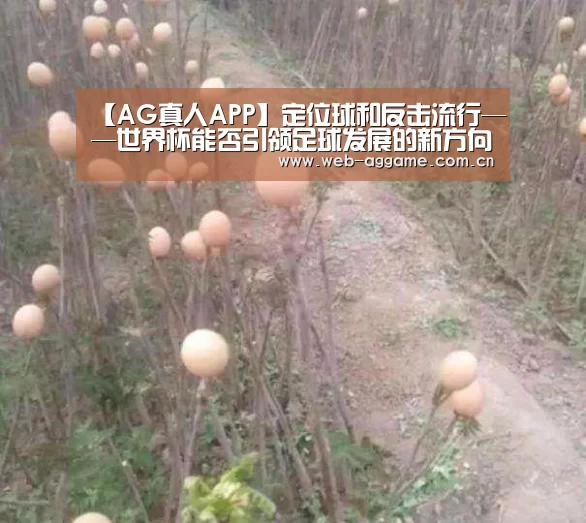 【AG真人APP】定位球和反击流行——世界杯能否引领足球发展的新方向?(图1) AG真人APP