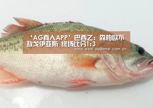 ‘AG真人APP’巴西乙: 森柏欧不敌戈伊亚斯 终场比分1:3(图3) AG真人APP
